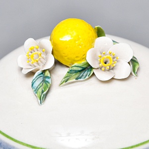 Авторский Чайный сервиз на 4 персоны «Лимоны», фарфор, ручная роспись, Гжель Россия -2000 г..