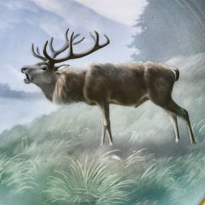 Столовый Фарфоровый сервиз «Охота» на 12 персон, Kaestner Saxonia Германия, первая половина ХХ века.