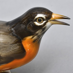 Коллекционная Фарфоровая статуэтка «Птица - Американский дрозд», Hutschenreuther Германия. 