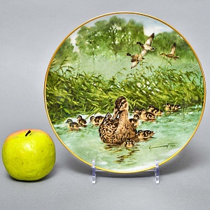 Коллекционная Фарфоровая Тарелка - Блюдо «Дикая Природа. Утиная семья», KAISER Германия. 