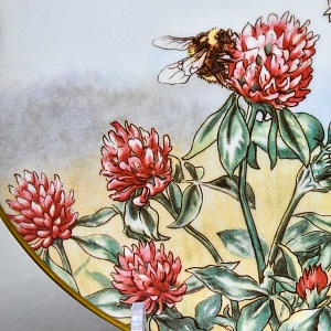 Коллекционная Фарфоровая Тарелка - Блюдо «Фея Клевера», Wedgwood Англия - 1989 год. 