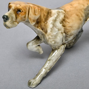 Коллекционная Фарфоровая статуэтка «Собака ПОЙНТЕР», Hutschenreuther Германия, середина ХХ века.