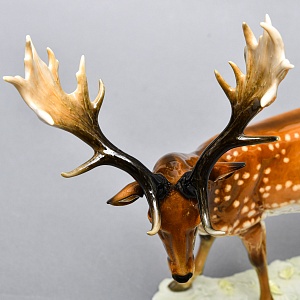 Коллекционная Фарфоровая статуэтка «Пятнистый Олень», Hutschenreuther Германия.