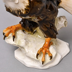 Птица - Фарфоровая статуэтка «Орел. Белоголовый орлан», Hutschenreuther Германия, 1955 - 1968 годы.