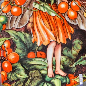 Коллекционная Фарфоровая Тарелка - Блюдо «Фея Бузины», Wedgwood Англия - 1989 год.