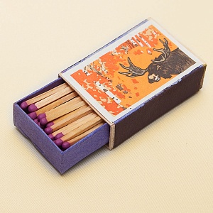 Памятный Сувенирый Набор - Хозяйственные Спички «Золотая Осень», СССР -1965 год. 