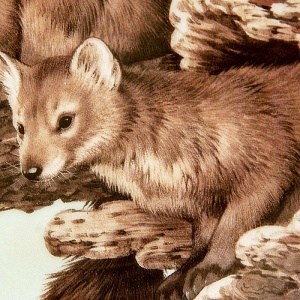 Коллекционная Тарелка «Лесной Год - ФЕВРАЛЬ» Фарфор, Studio Fine Porcelaine Англия -1982 год.