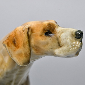 Коллекционная Фарфоровая статуэтка «Собака ПОЙНТЕР», Hutschenreuther Германия, середина ХХ века.