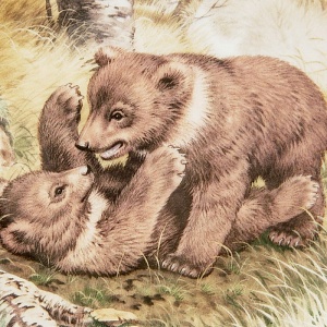 Коллекционная Тарелка «Лесной Год - МАЙ» Фарфор, Studio Fine Porcelaine Англия -1982 год.