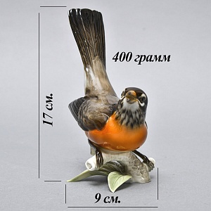 Коллекционная Фарфоровая статуэтка «Птица - Американский дрозд», Hutschenreuther Германия. 