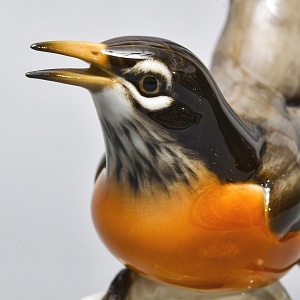 Коллекционная Фарфоровая статуэтка «Птица - Американский дрозд», Hutschenreuther Германия. 