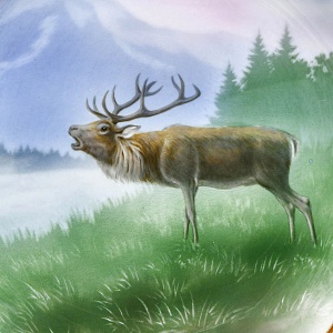 Столовый Фарфоровый сервиз «Охота» на 12 персон, Kaestner Saxonia Германия, первая половина ХХ века.